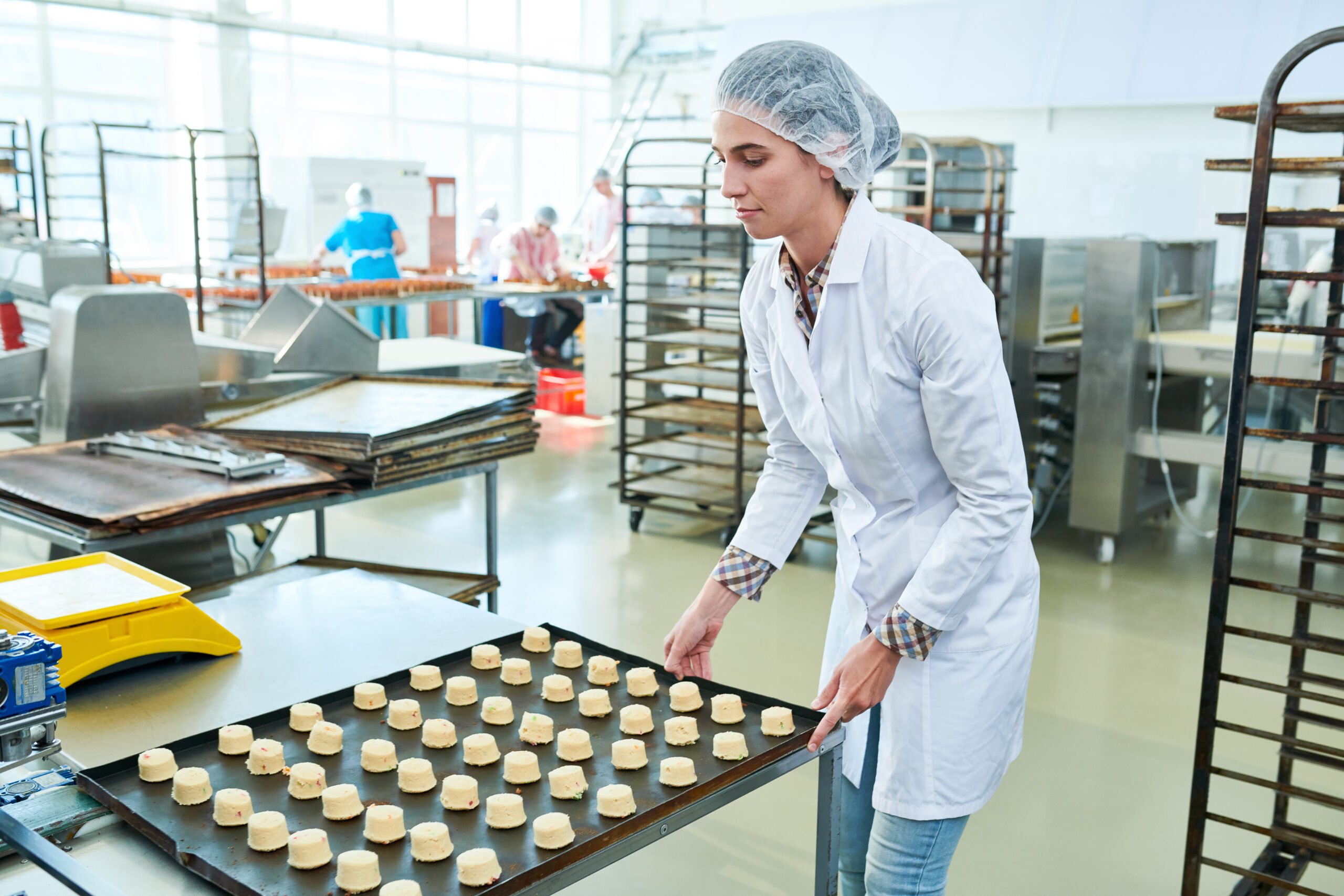 ISO 9001 in Food Manufacturing
